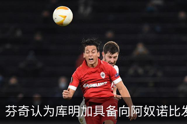 芬奇认为库明加具备向阿奴诺比发展潜力